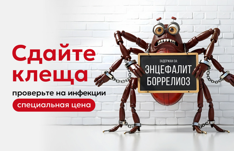 Исследование клеща на возбудители инфекций