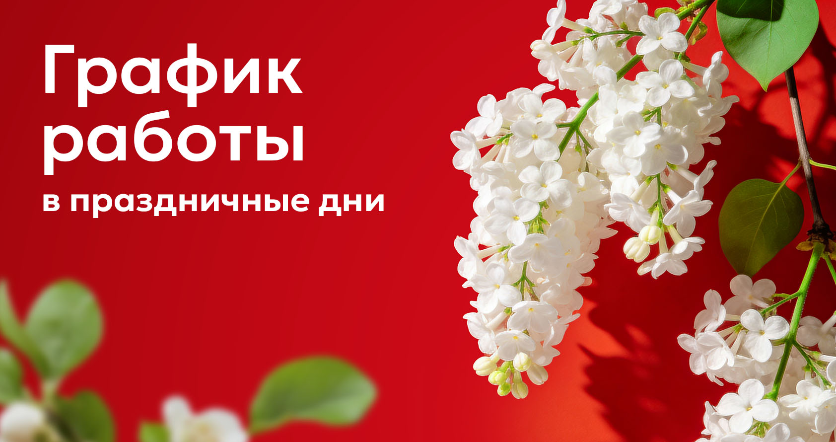 Праздничные дни в ДНКОМ: индивидуальный график работы медицинских офисов